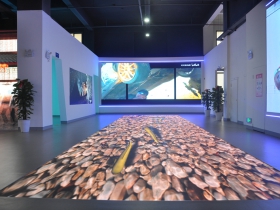 展示厅
